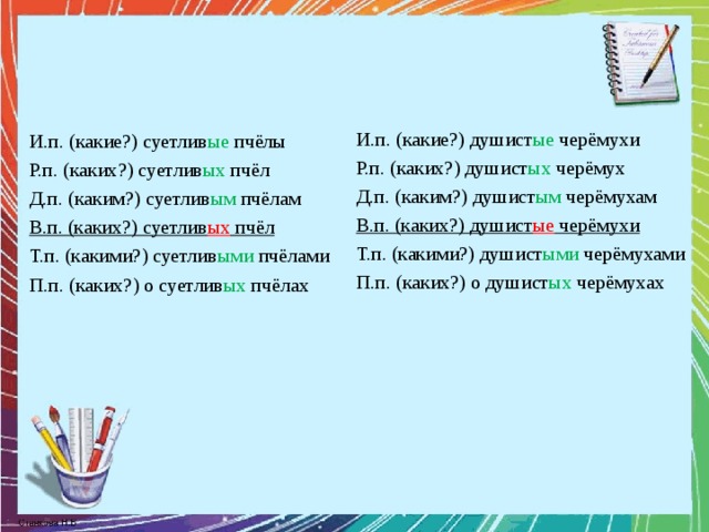 И.п. (какие?) душист ые черёмухи Р.п. (каких?) душист ых черёмух Д.п. (каким?) душист ым черёмухам В.п. (каких?) душист ые черёмухи Т.п. (какими?) душист ыми черёмухами П.п. (каких?) о душист ых черёмухах И.п. (какие?) суетлив ые пчёлы Р.п. (каких?) суетлив ых пчёл Д.п. (каким?) суетлив ым пчёлам В.п. (каких?) суетлив ых пчёл Т.п. (какими?) суетлив ыми пчёлами П.п. (каких?) о суетлив ых пчёлах