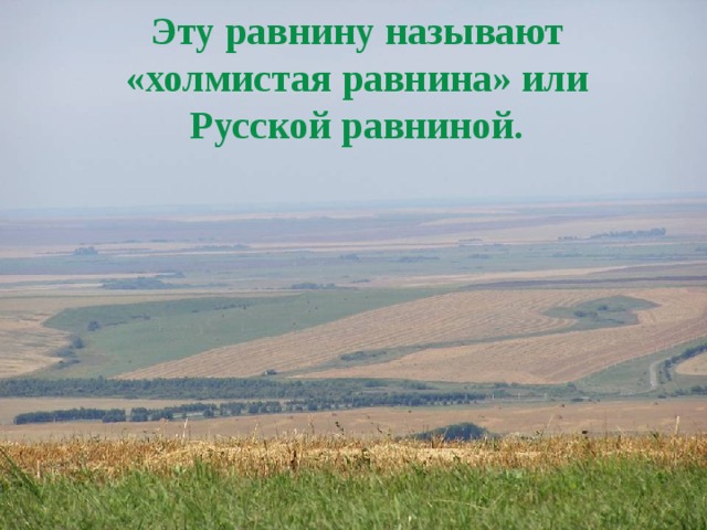 Эту равнину называют «холмистая равнина» или Русской равниной.