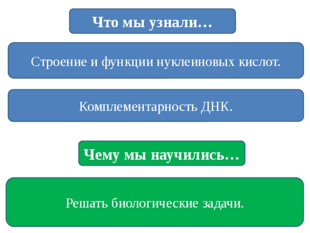 Что мы узнали… Строение и функции нуклеиновых кислот. Комплементарность ДНК. Чему мы научились… Решать биологические задачи.