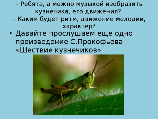 – Ребята, а можно музыкой изобразить кузнечика, его движения?   – Каким будет ритм, движение мелодии, характер?