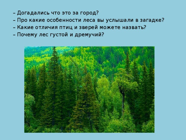 – Догадались что это за город? – Про какие особенности леса вы услышали в загадке? – Какие отличия птиц и зверей можете назвать? – Почему лес густой и дремучий?