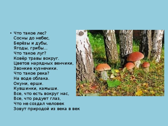 Что такое лес?  Сосны до небес,  Берёзы и дубы,  Ягоды, грибы...  Что такое луг?  Ковёр травы вокруг.  Цветов нарядных венчики,  Звонкие кузнечики.  Что такое река?  На воде облака.  Окуни, ерши.  Кувшинки, камыши.  Все, что есть вокруг нас,  Все, что радует глаз,  Что не создал человек  Зовут природой из века в век