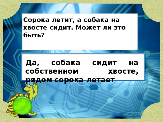 Сорока летит, а собака на хвосте сидит. Может ли это быть? Да, собака сидит на собственном хвосте, рядом сорока летает