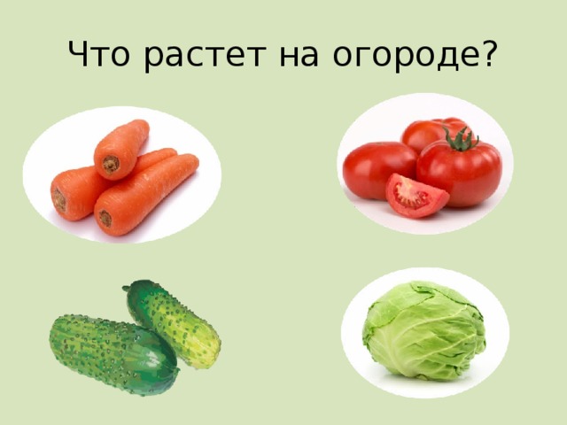 Что растет на огороде?