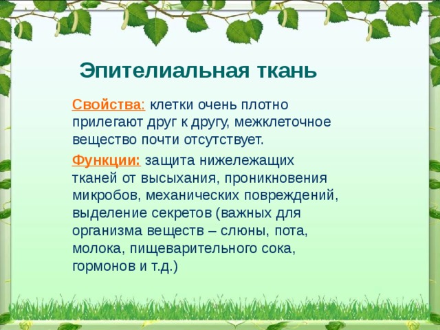 Эпителиальная ткань Свойства : клетки очень плотно прилегают друг к другу, межклеточное вещество почти отсутствует. Функции: защита нижележащих тканей от высыхания, проникновения микробов, механических повреждений, выделение секретов (важных для организма веществ – слюны, пота, молока, пищеварительного сока, гормонов и т.д.)