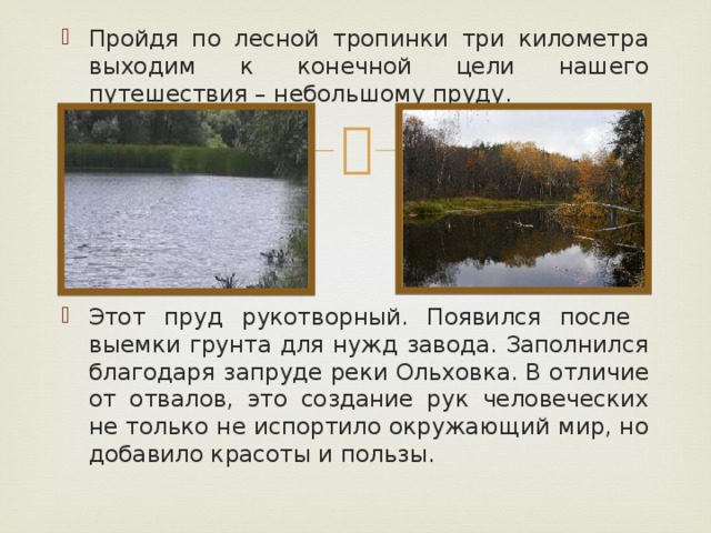 Пройдя по лесной тропинки три километра выходим к конечной цели нашего путешествия – небольшому пруду. Этот пруд рукотворный. Появился после выемки грунта для нужд завода. Заполнился благодаря запруде реки Ольховка. В отличие от отвалов, это создание рук человеческих не только не испортило окружающий мир, но добавило красоты и пользы.