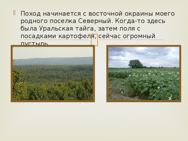 Поход начинается с восточной окраины моего родного поселка Северный. Когда-то здесь была Уральская тайга, затем поля с посадками картофеля, сейчас огромный пустырь.