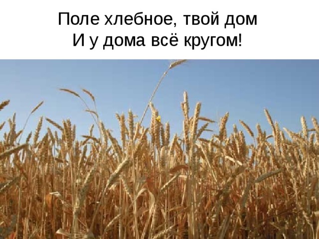 Поле хлебное, твой дом  И у дома всё кругом!