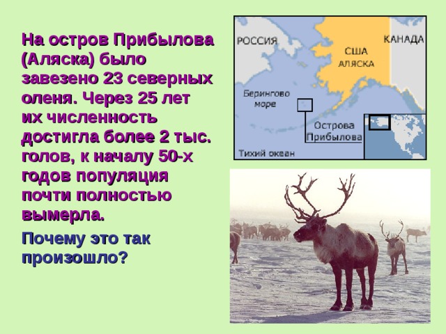 На остров Прибылова (Аляска) было завезено 23 северных оленя. Через 25 лет их численность достигла более 2 тыс. голов, к началу 50-х годов популяция почти полностью вымерла.  Почему это так произошло?