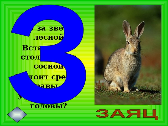 Что за зверь лесной Встал, как столбик, под сосной И стоит среди травы – Уши больше головы?