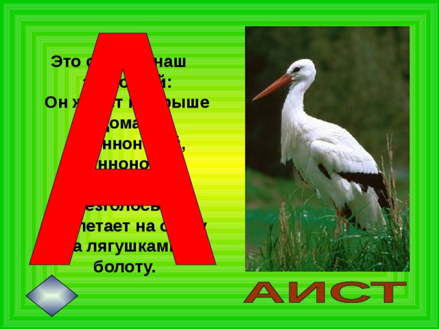 Это старый наш знакомый:  Он живет на крыше дома –  Длинноногий, длинноносый,  Длинношеий, безголосый.  Он летает на охоту  За лягушками к болоту.