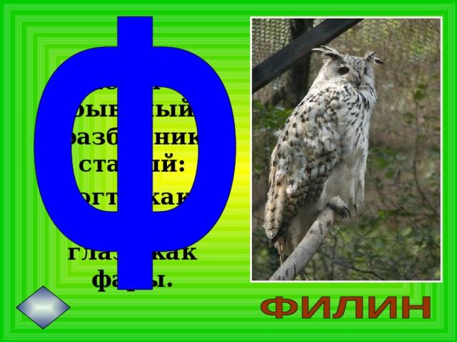 Летит бывалый разбойник старый: Когти как кинжалы, глаза как фары.