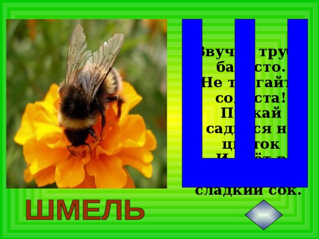 Звучит труба басисто.  Не трогайте солиста!  Пускай садится на цветок  И пьёт в антракте сладкий сок.