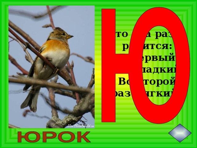 Кто два раза родится:  В первый раз гладкий,  Во второй раз мягкий?