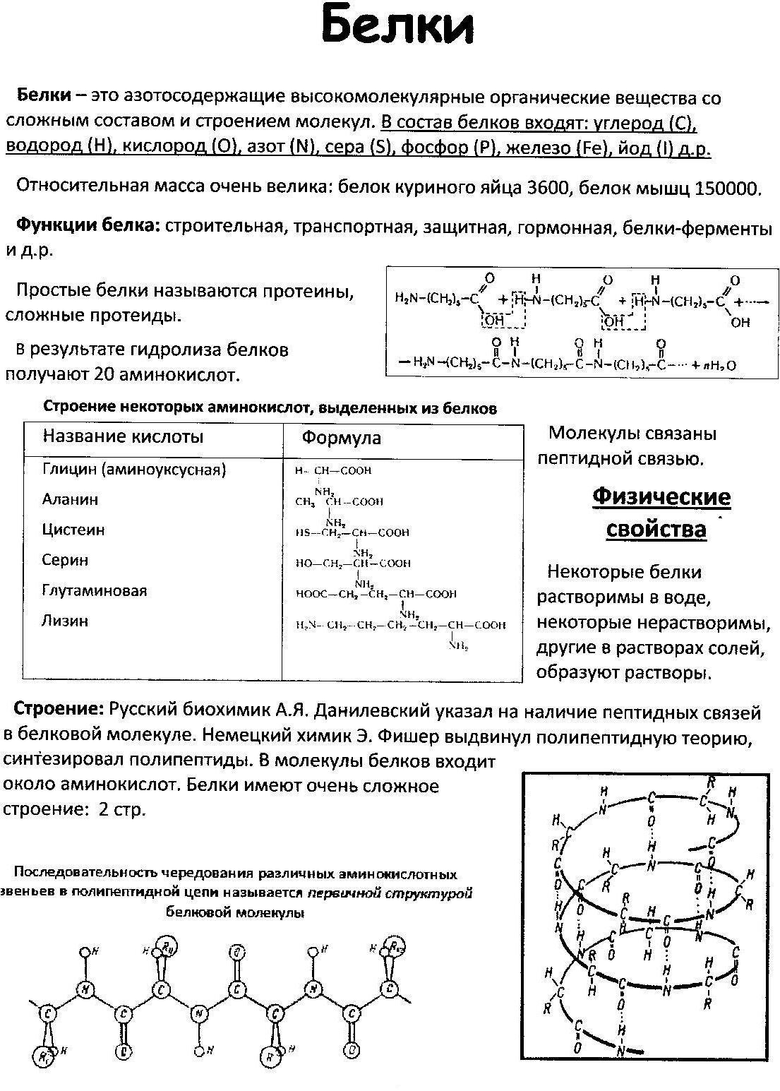 Получение белков. Строение белков химия формула. Структура белка формула. Строение белков формула. Белок химия формула.