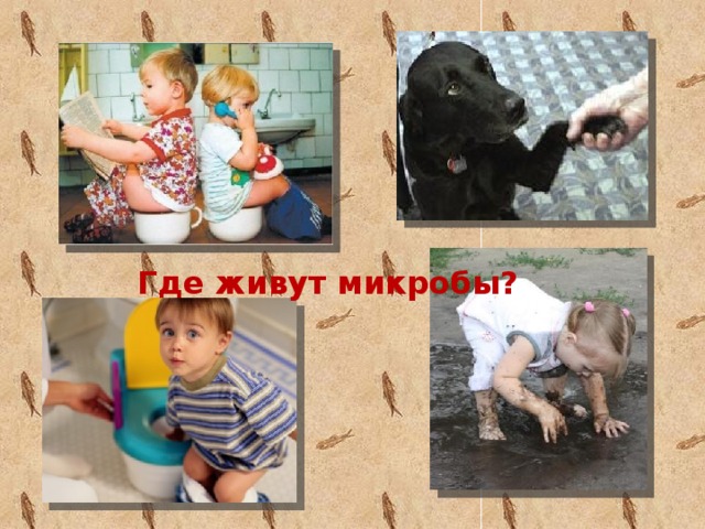 Где живут микробы?