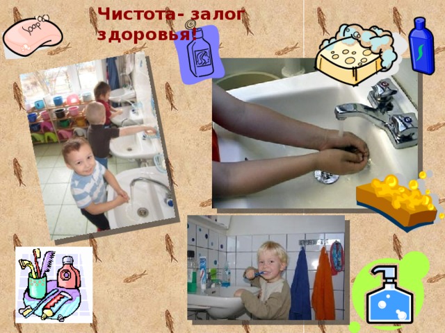 Чистота- залог здоровья!