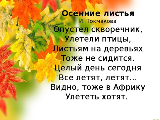 Осенние листья  И. Токмакова  Опустел скворечник,  Улетели птицы,  Листьям на деревьях  Тоже не сидится.  Целый день сегодня  Все летят, летят...  Видно, тоже в Африку  Улететь хотят. 