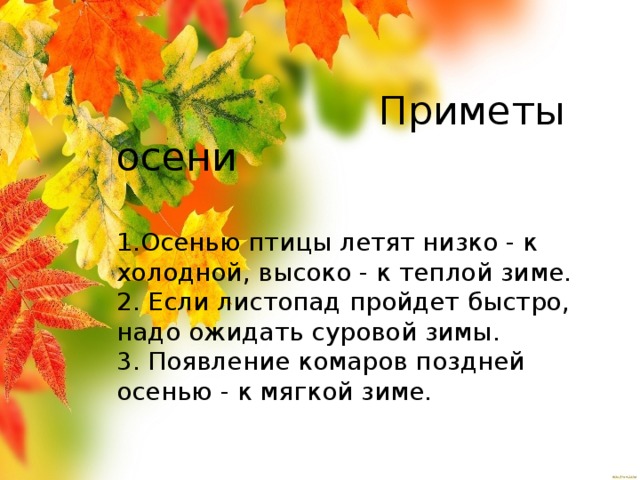 Приметы осени   1.Осенью птицы летят низко - к холодной, высоко - к теплой зиме.  2. Если листопад пройдет быстро, надо ожидать суровой зимы.  3. Появление комаров поздней осенью - к мягкой зиме.