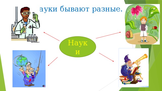 Науки бывают разные. Науки