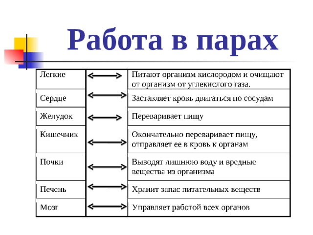 Работа в парах