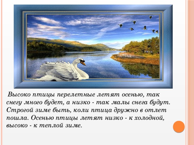 Высоко птицы перелетные летят осенью, так снегу много будет, а низко - так малы снега будут. Строгой зиме быть, коли птица дружно в отлет пошла. Осенью птицы летят низко - к холодной, высоко - к теплой зиме.