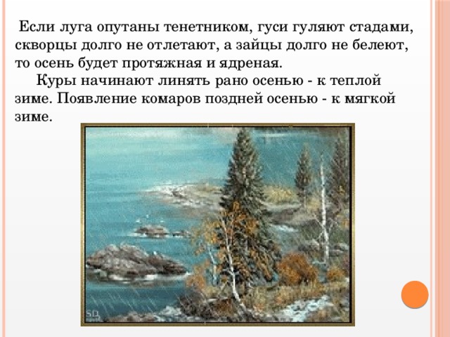 Если луга опутаны тенетником, гуси гуляют стадами, скворцы долго не отлетают, а зайцы долго не белеют, то осень будет протяжная и ядреная.  Куры начинают линять рано осенью - к теплой зиме. Появление комаров поздней осенью - к мягкой зиме.