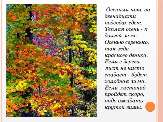 Осенняя ночь на двенадцати подводах едет. Теплая осень - к долгой зиме. Осенью серенько, так жди красного денька. Если с дерева лист не чисто спадает - будет холодная зима. Если листопад пройдет скоро, надо ожидать крутой зимы.