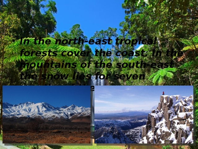 In the north-east tropical forests cover the coast. In the mountains of the south-east the snow lies for seven months of the year.