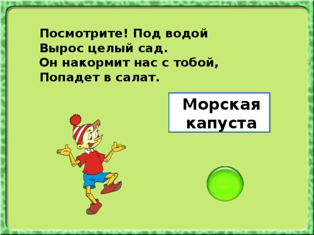 Посмотрите! Под водой Вырос целый сад. Он накормит нас с тобой, Попадет в салат. Морская капуста