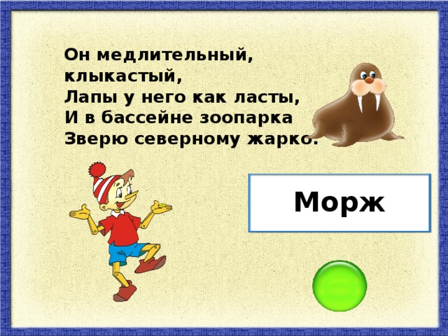 Он медлительный, клыкастый, Лапы у него как ласты, И в бассейне зоопарка Зверю северному жарко. Морж