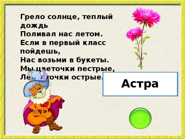 Грело солнце, теплый дождь Поливал нас летом. Если в первый класс пойдешь, Нас возьми в букеты. Мы цветочки пестрые, Лепесточки острые. Астра