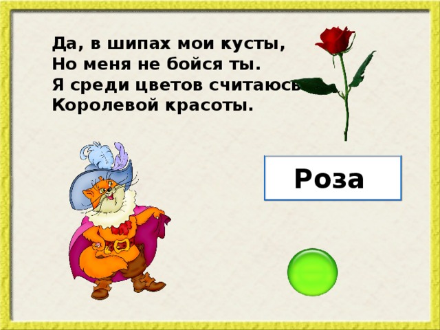 Да, в шипах мои кусты, Но меня не бойся ты. Я среди цветов считаюсь Королевой красоты. Роза