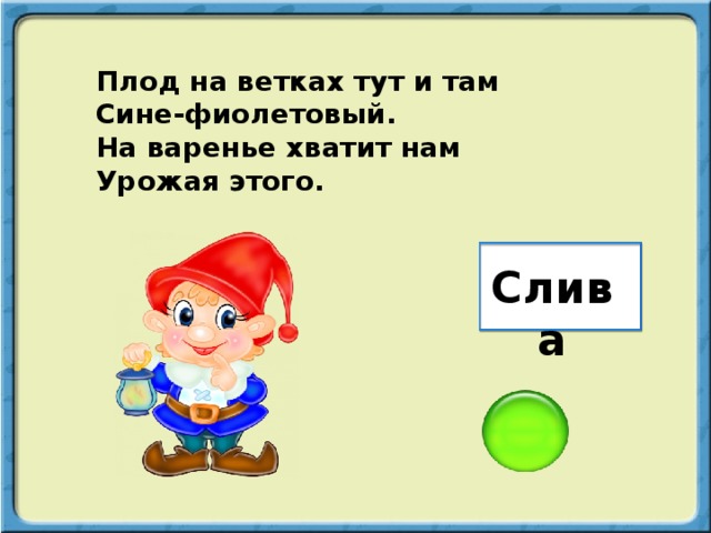 Плод на ветках тут и там Сине-фиолетовый. На варенье хватит нам Урожая этого. Слива