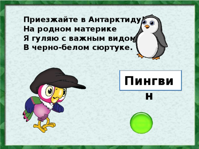 Приезжайте в Антарктиду! На родном материке Я гуляю с важным видом В черно-белом сюртуке. Пингвин