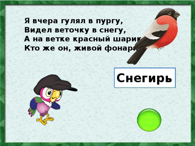 Я вчера гулял в пургу, Видел веточку в снегу, А на ветке красный шарик. Кто же он, живой фонарик? Снегирь