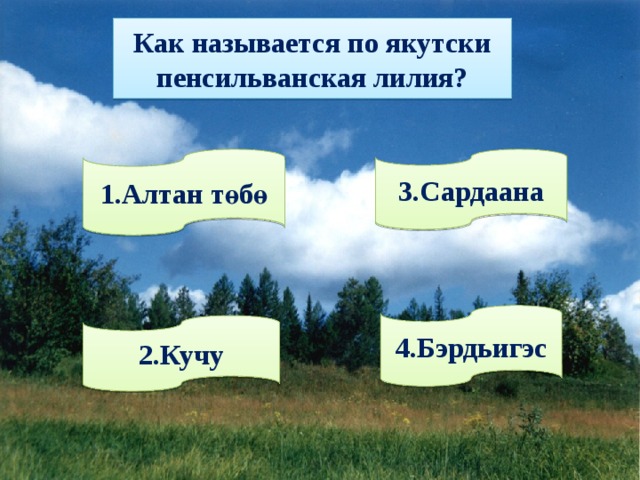 Как называется по якутски пенсильванская лилия? 1.Алтан төбө 3.Сардаана 4.Бэрдьигэс 2.Кучу