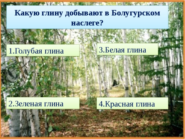 Какую глину добывают в Болугурском наслеге? 3.Белая глина 1.Голубая глина 2.Зеленая глина 4.Красная глина