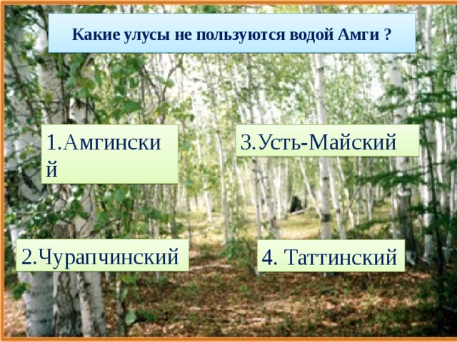 Какие улусы не пользуются водой Амги ? 3.Усть-Майский 1.Амгинский 2.Чурапчинский 4. Таттинский