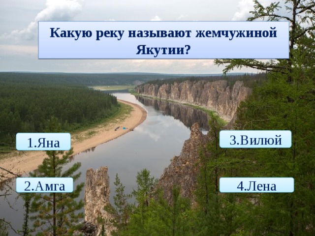 Какую реку называют жемчужиной Якутии? 3.Вилюй 1.Яна 2.Амга 4.Лена