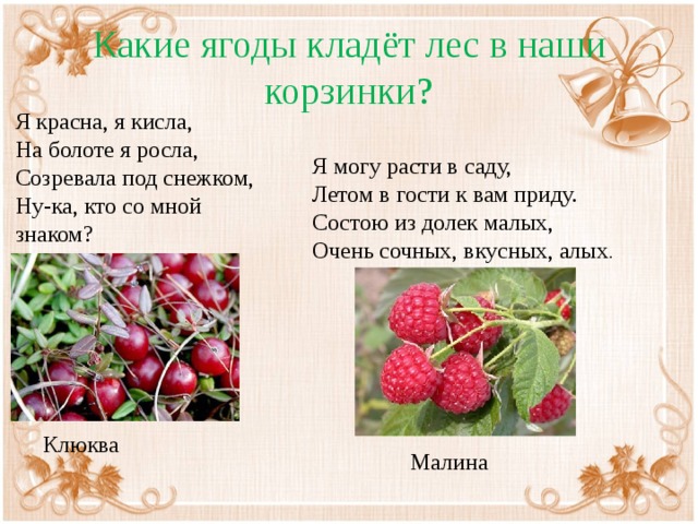 Вырос созрел. Первая поспевающая ягода. Какие ягоды созревают весной. Какие ягоды поспевают первые. Какая ягода созревает первой.
