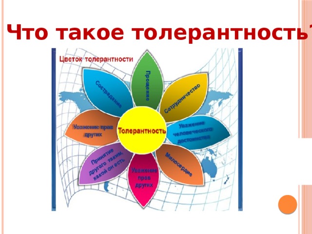 Что такое толерантность?