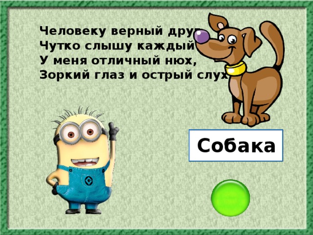 Человеку верный друг, Чутко слышу каждый звук. У меня отличный нюх, Зоркий глаз и острый слух. Собака