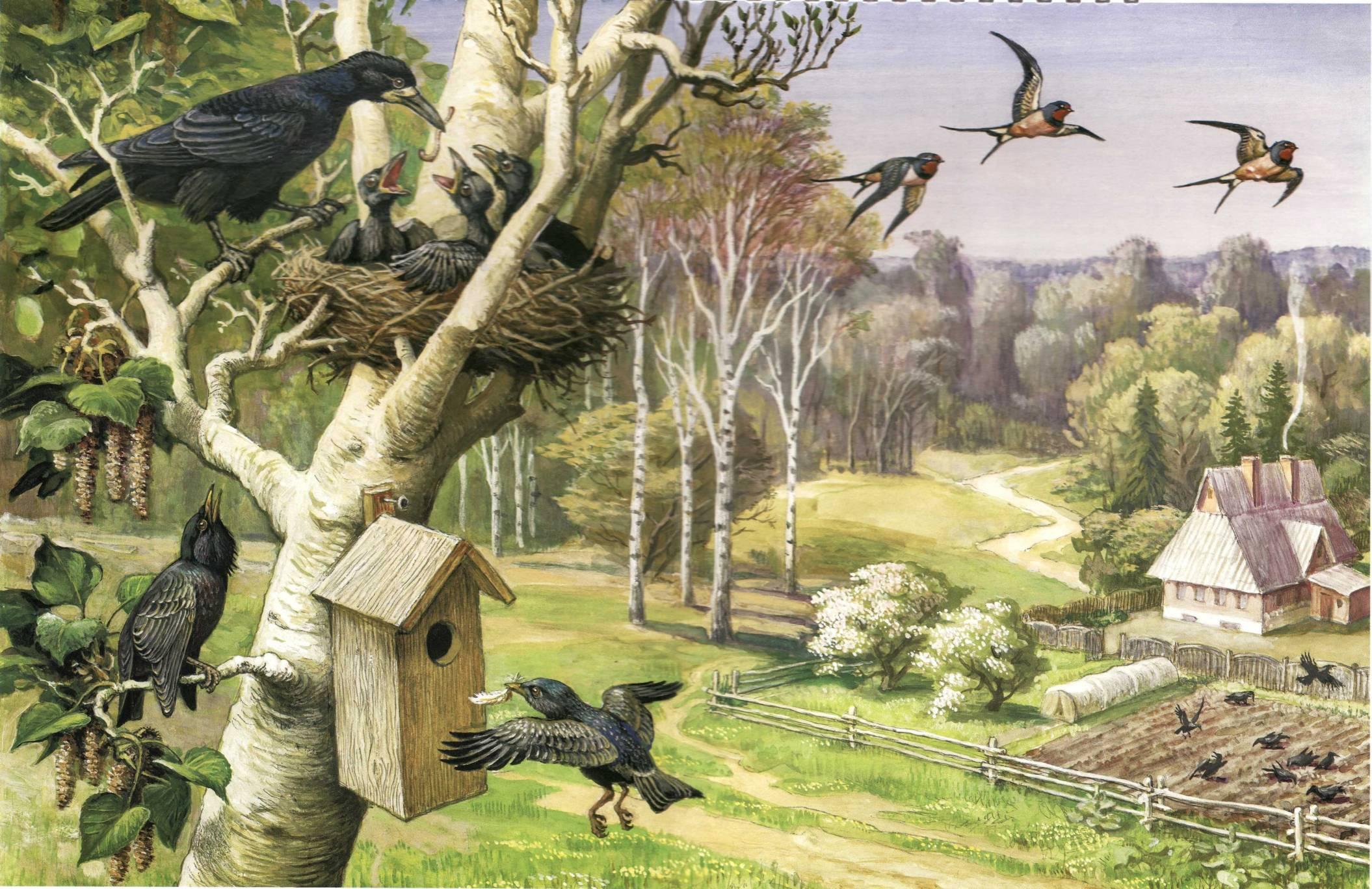 Встречаем перелетных птиц. Картина Артюшенко птицы весной. «Птицы весной» с.к.Артюшенко. Нищева перелетные птицы.
