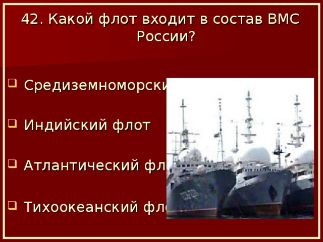 42. Какой флот входит в состав ВМС России?