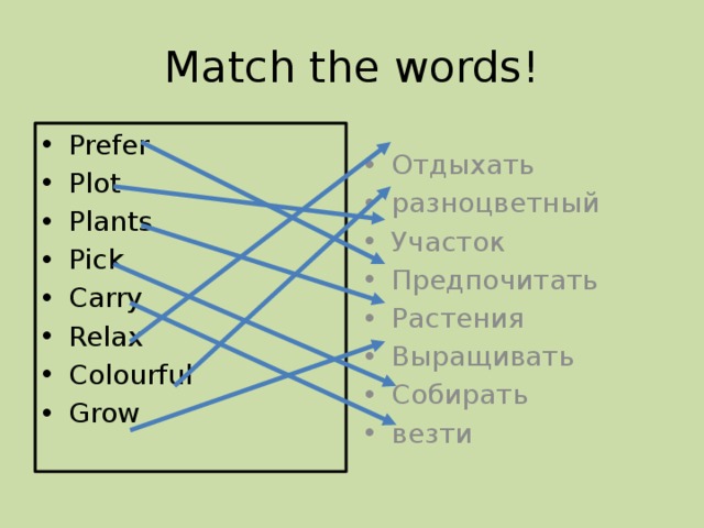 Match the words!