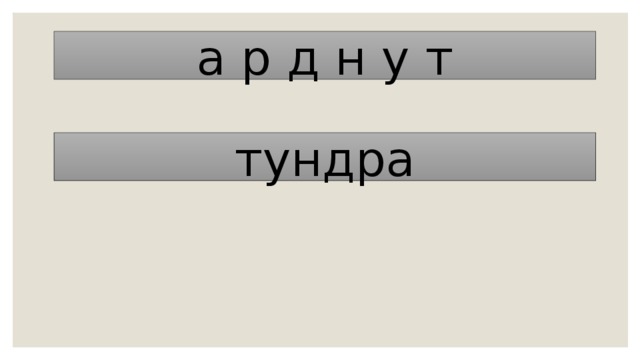 а р д н у т тундра