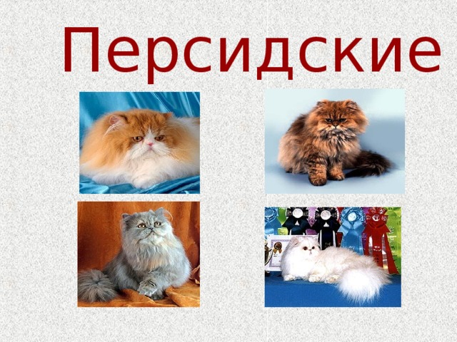 Персидские