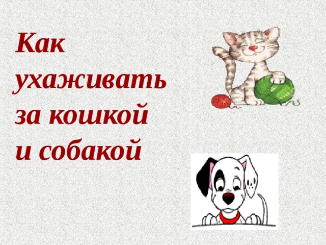 Практическая работа учимся ухаживать за кошкой собакой