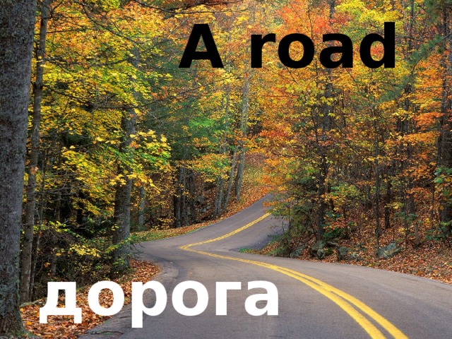 A road дорога
